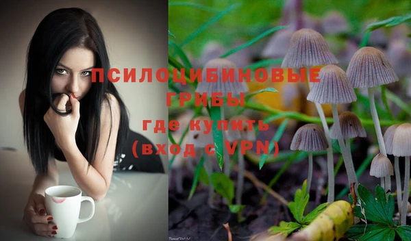 Альфа ПВП Богородицк