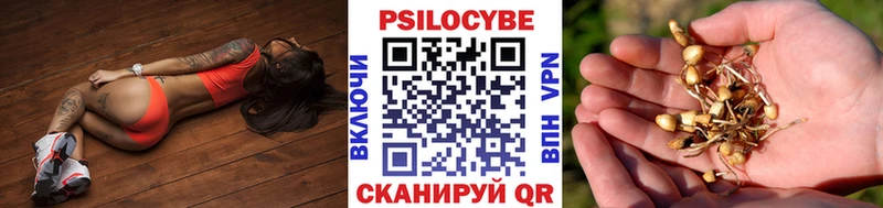 Галлюциногенные грибы GOLDEN TEACHER  Калуга 