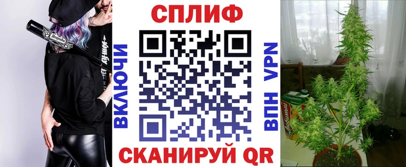 наркота  Калуга  Конопля OG Kush 